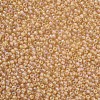12/0 Grade A Round Glass Seed Beads SEED-Q010-M532-2