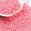 Baking Paint Glass Seed Beads X1-SEED-A033-05I-1