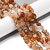 Natural Red Agate Beads Strands G-G146-A25-01-2