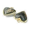 Natural Labradorite Pendants G-O204-01D-3