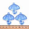 Transparent Acrylic Pendants TACR-T024-01B-940-4