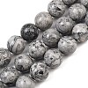 Natural Map Stone Beads Strands G-L648-A05-16mm-3