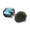 Natural Labradorite Carved Cabochons G-C152-11-2