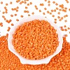 FGB Baking Paint Glass Seed Beads SEED-Q040-09A-03-2