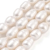 Natural Cultured Freshwater Pearl Beads Strands PEAR-P062-10C-1