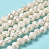 Natural Cultured Freshwater Pearl Beads Strands PEAR-E017-18-2