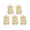 Alloy Pendants PALLOY-S137-001B-NR-2