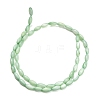 Natural Freshwater Shell Beads Strands SHEL-C010-01A-3