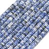 Frosted Natural Blue Spot Jasper Beads Strands G-K389-C05-01A-2