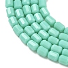 Opaque Glass Beads Strands GLAA-G112-04C-3