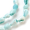 Spiral Shell Beads Strands BSHE-L037-09-2