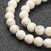 Nrtutal Magnesite Beads Strands G-L575-01B-2