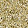 MIYUKI Round Rocailles Beads X-SEED-G009-RR0577-3