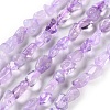 Natural Amethyst(Dyed & Heated) Beads Strands X-G-P497-01C-47-1