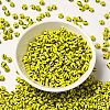 8/0 Opaque Colours Seep Glass Seed Beads SEED-F003-04B-05-2