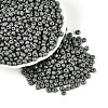 6/0 Baking Paint Glass Round Seed Beads SEED-S036-01C-09-1
