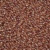 12/0 FGB Grade A Round Glass Seed Beads X-SEED-Q011-F501-2