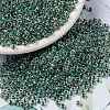MIYUKI Round Rocailles Beads X-SEED-G008-RR0277-1