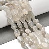 Natural White Moonstone Beads Strands G-P497-01E-69C-1