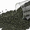 TOHO Round Seed Beads SEED-JPTR15-0617-1