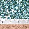 MIYUKI Delica Beads SEED-JP0008-DB2381-4