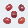 Natural Carnelian Cabochons G-G759-Z16-1