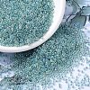 MIYUKI Round Rocailles Beads SEED-X0054-RR0263-1