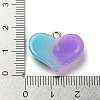 Gradient Color Resin Pendants FIND-Z010-01A-3