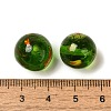 Handmade Transparent Lampwork Beads LAMP-C016-04D-03-3