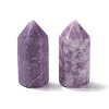 Natural Lepidolite/Purple Mica Stone Sculpture Display Decoration G-A205-27B-3