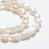 Natural Cultured Freshwater Pearl Beads Strands PEAR-R064-56-3