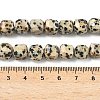 Natural Dalmatian Jasper Beads Strands G-C267-A14-5