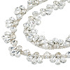 1 Yards Iron Rhinestone Strass Chains FIND-PJ0001-43-1