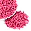 FGB Baking Paint Glass Seed Beads SEED-Q040-09A-04-1