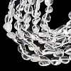 Natural Quartz Crystal Beads Strands G-K395-B01-02-4