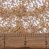MIYUKI Delica Beads SEED-X0054-DB2043-4