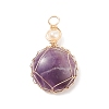 Natural Amethyst Pendants PALLOY-JF01556-01-1