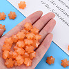 Imitation Jelly Acrylic Beads LS-MACR-S373-92-E05-6