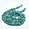 Chips Synthetic Turquoise Beads Strands X-G-N0134-08A-3
