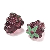 Handmade Lampwork Beads LAMP-WH0012-02C-2