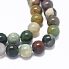Natural Indian Agate Beads Strands G-L476-06-2