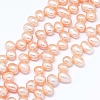 Natural Cultured Freshwater Pearl Beads Strands PEAR-G004-03D-01-X-1