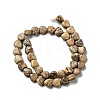 Natural Picture Jasper Beads Strands G-B022-14A-3