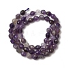 Natural Amethyst Beads Strands G-K376-F03-01-3