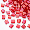 2-Hole Baking Painted Transparent Glass Seed Beads SEED-S031-L-254-1