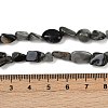 Natural Eagle Eye Stone Beads Strands G-Q060-D06-5