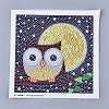 DIY Diamond Painting Stickers Kits For Kids DIY-K020-09-5