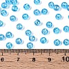 Transparent Glass Seed Beads SEED-N007-33A-06-4