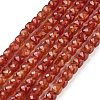 Natural Red Agate Beads Strands G-H042-A49-02-1