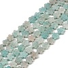 Natural Amazonite Beads Strands G-B138-C10-01-2